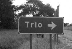 Storioni Trio?