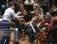 PSO in Eindhoven