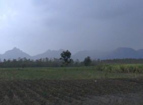 Enjoying the Thailand views...