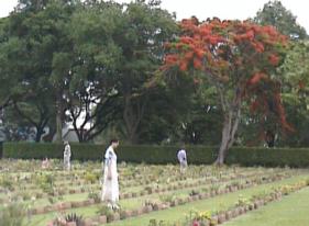 Yvonne van de Pol reading tomb-stones at the Cemetery.