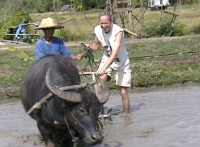 Ruud vd Meulen running a close finish ...