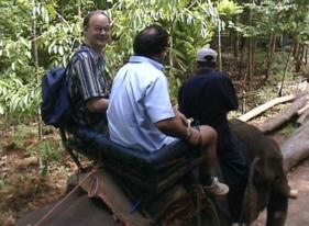 Reinout Woltjer and Jules van Hessen trying to spot Bengal tiger.