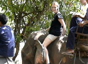 Saskia Luijendijk discovers: Yes--Elephants are fun!