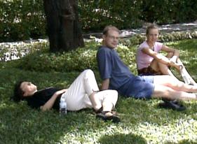 Dutch people always appreciate grass.